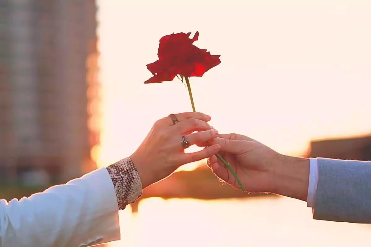 Un hombre regalando una rosa a una mujer con el sol de fondo